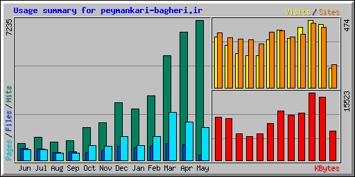 Usage summary for peymankari-bagheri.ir